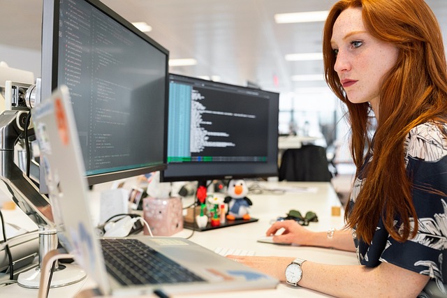 developer workstation